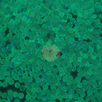 Luminous White Opal Glass Rhinestones